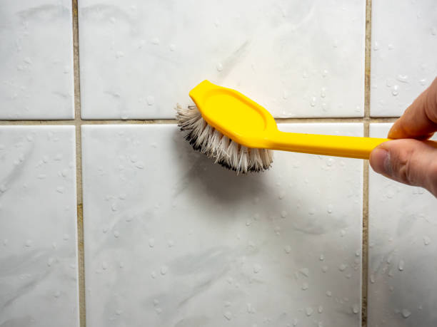 Best Home Mold Removal  in Clinton, TN