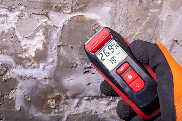 Certified Mold Removal in Clinton, TN
